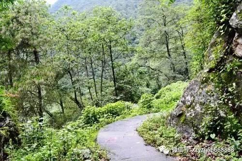 城步长安营镇：清理河道垃圾，美化生态环境